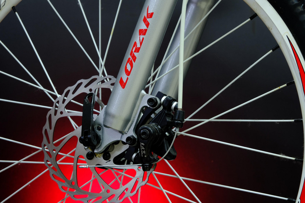 Lorak Shark 24 White Белый/Красный