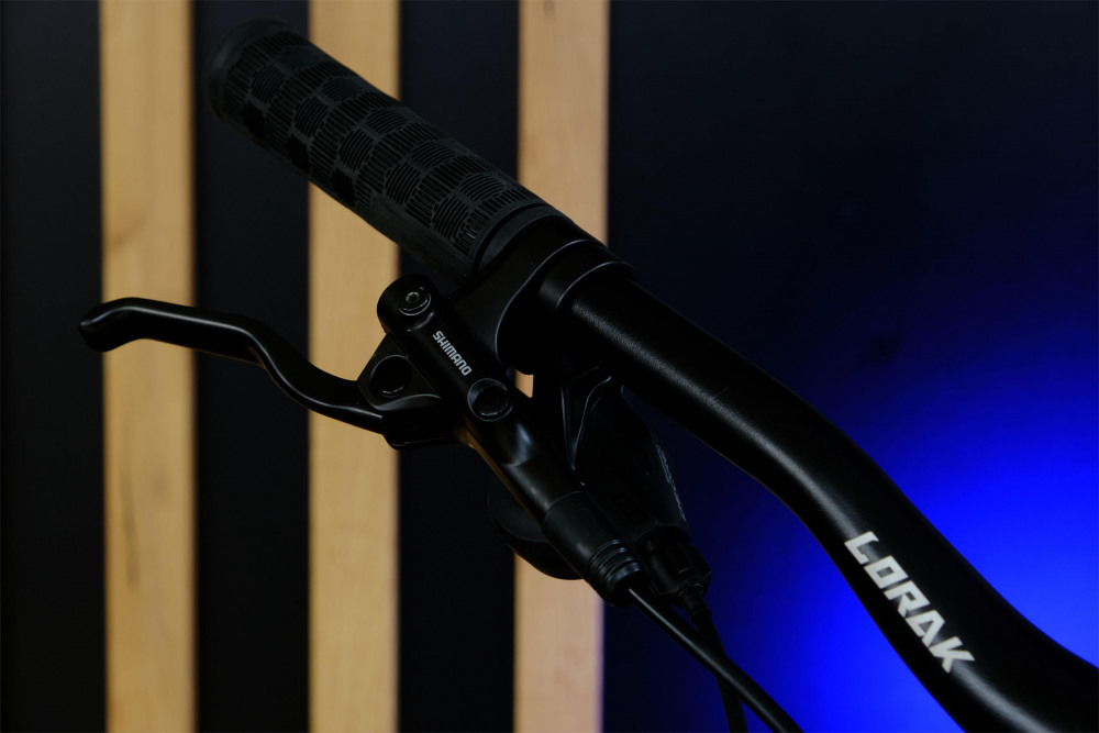 LORAK Sel 9350 Матовый Синий рама 21 (на рост 183-190)